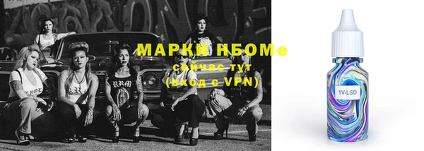стаф Зеленокумск