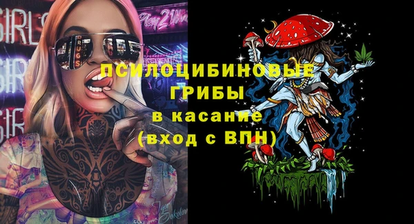 стаф Зеленокумск