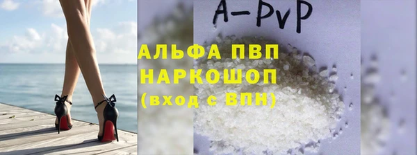 стаф Зеленокумск