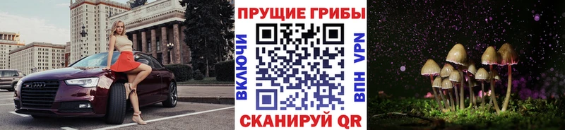 Купить где  Кандалакша  Галлюциногенные грибы Cubensis 