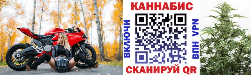 Канабис гибрид  Купить закладки  Кандалакша 